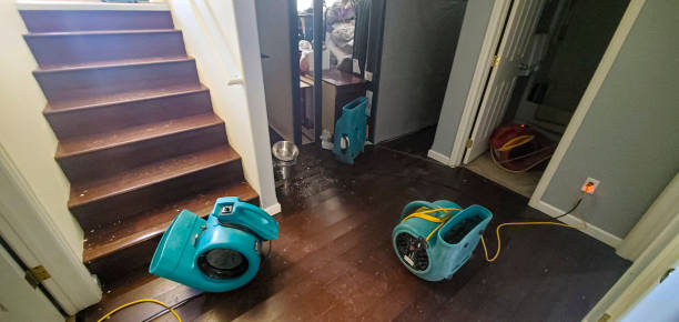 Best Flood restoration services  in Mayfield, KY