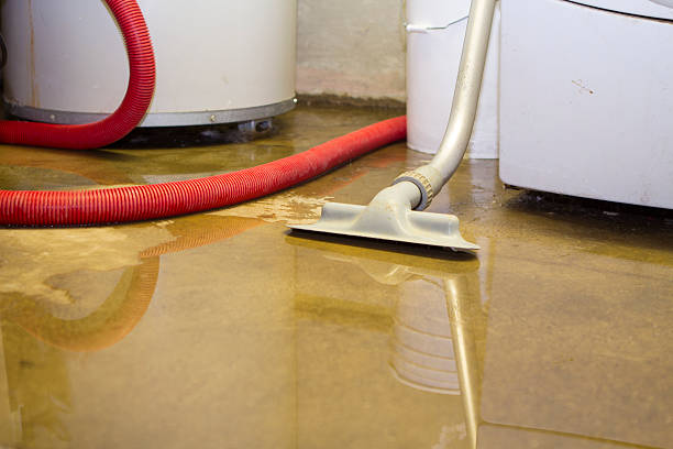 Best Commercial water damage restoration  in Mayfield, KY